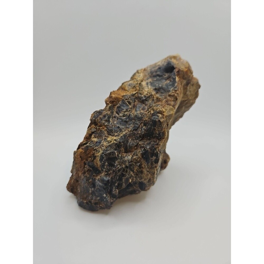 Natural Petrified Wood Raw Specimen Uncut Unpolished 18.6 Oz. Washington State